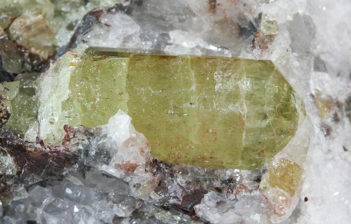 Apatite Crystal In Matrix - Durango, Mexico #43376